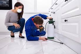 Best Pest Prevention Services  in Drain, OR